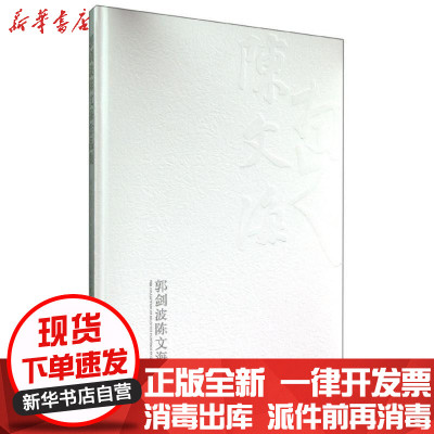 新华书店-正版郭剑波陈文海作品集郭剑波人民美术出版社9787102069739书籍