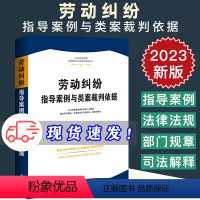[正版]劳动纠纷指导案例与类案裁判依据 人民法院民商事指导案例与类案裁判依据丛书 中国法制出版社