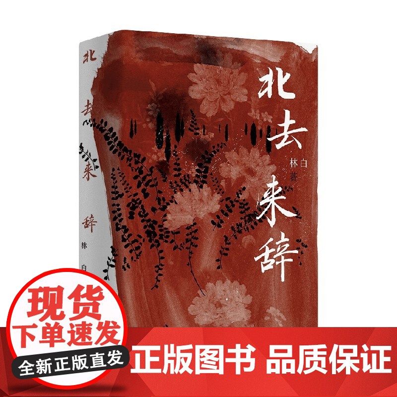 北去来辞 林白 著 林白代表作十周年纪念版 第九届茅盾文学奖提名奖 陈思和 张新颖 张莉 项静诚挚 中国当代小说