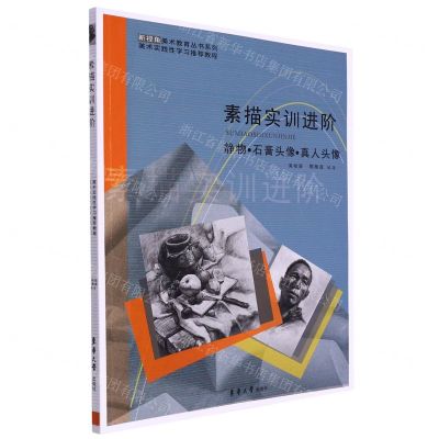 [N]素描实训进阶(静物石膏头像真人头像)/新视角美术教育丛书系列-9787566921062