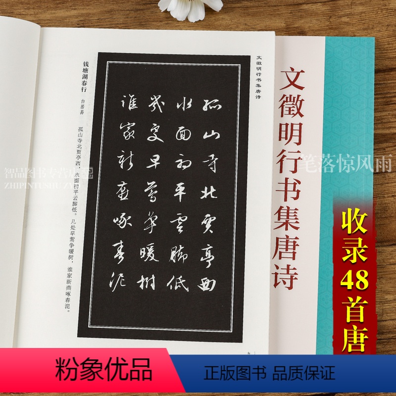 [正版]文徵明行书集唐诗 于魁荣 收录48首诗行书集字唐诗 行书法帖成人学生初学临摹字帖 原文对照用笔结字与章法书法字
