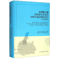 音像大鼠和小鼠病理变化术语及诊断标准的国际规范(INHAND)(精)