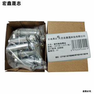 宏鑫晟志 镀锌膨胀螺丝8级 10*100(10个/包) 包