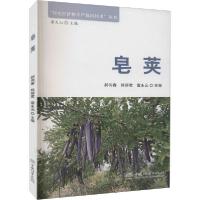 正版新书]皂荚郝向春9787521905908