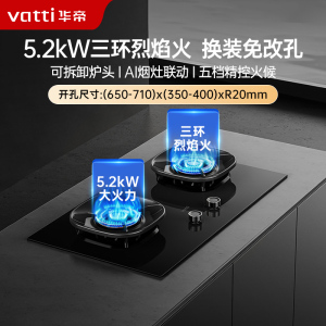 华帝(vatti)燃气灶天然气灶家用嵌入式5.2kW猛火底座可调节免扩孔易清洁70%热效率 烟灶联动灶具i10309L
