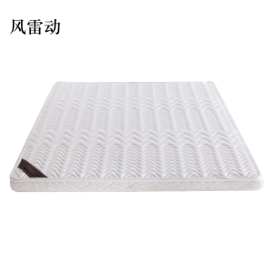 风雷动椰棕床垫家用棕垫B8cm厚(防螨针织+0胶水天然椰棕)1200mm*2000mm