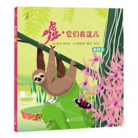 [N]嘘它们在这儿(雨林篇)-9787559853585