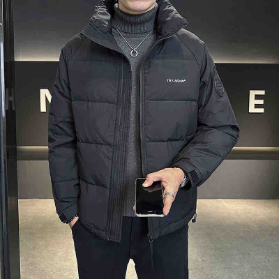 冬季新款男士羽绒服纯色加厚保暖青年百搭白鸭绒立领男式羽绒外套