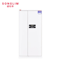 盛松林 保密柜 通门1850*900*420mm 个