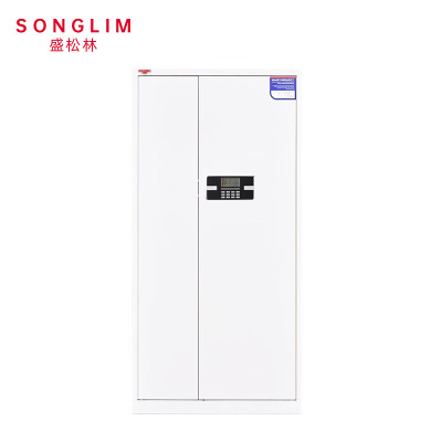 盛松林 保密柜 通门1850*900*420mm 个