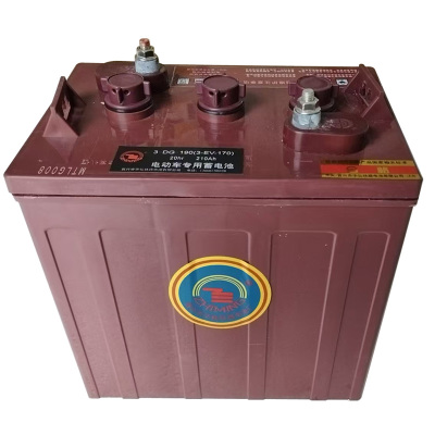 ZHIMING观光电动搬运车用蓄电池3-DG-190(3-EV-170)(只)