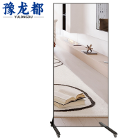 豫龙都镜子178cm个