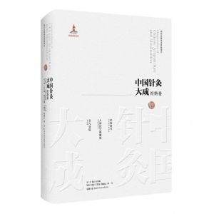 [N]中国针灸大成(经络卷经脉图考人体经穴脏腑图节穴身镜)(精)-9787571019334