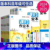 政治 人教江苏专用版 八年级下 [正版]2024课时作业本七年级八年级九年级上册下册数学语文英语化学物理八上七下苏科版苏