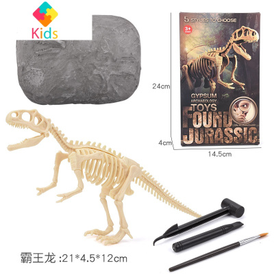 恐龙骨化石价格 恐龙骨化石最新报价 恐龙骨化石多少钱 苏宁易购