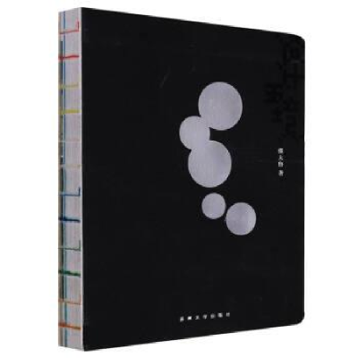 正版新书]设计五境张大鲁9787567234390