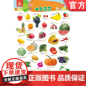正版 瑞莉兔双面发声大挂图 水果蔬菜 日常用品 海润阳光 触摸按键 儿童认知能力教育 幼儿早教 小儿益智