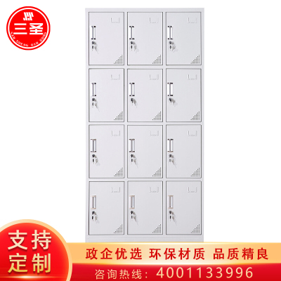 三圣 办公家具加厚12门铁皮更衣柜 员工储物柜 多门储物柜 存包柜鞋柜 浴室带锁更衣柜 其他金属更衣柜多功能
