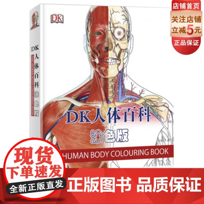 DK人体百科 涂色版 英国DK出版社经典系列 人体 又一力作 北京科学技术