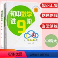 数学进阶 9年级上册+下册 [正版]新版 初中数学进阶丛书九年级上册下册 初中生数学习题专项训练数学思维能力提升辅导9年