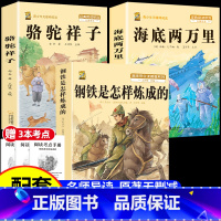 [七下必读课外书3本]骆驼祥子+海底两万里+钢铁是怎样炼成的[注解+点评+习题] [正版]骆驼祥子和海底两万里七年级下册