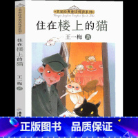 住在楼上的猫 [正版]住在楼上的猫 王一梅童话系列小学生二年三年级四年级五年级六年级必读课外书阅读书籍儿童读物少儿书籍6