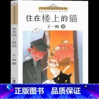 住在楼上的猫 [正版]住在楼上的猫 王一梅童话系列小学生二年三年级四年级五年级六年级必读课外书阅读书籍儿童读物少儿书籍6