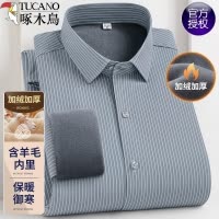 啄木鸟冬季男士加绒保暖衬衫中年商务羊毛上衣休闲加厚条纹衬衣男