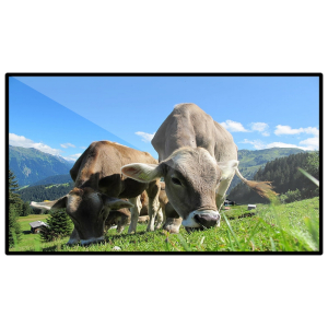 昌裕(CHANGYU)CY-XF-B6Y65 65寸壁挂标配信发终端 广告机