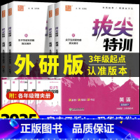 2册[拔尖特训+默写能手]外研版(3起) 四年级下 [正版]2025春外研版三年级起点英语练习册小学拔尖特训外研社一二三