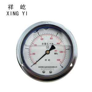 祥屹 耐震压力表轴向带边 YTN100ZT 块
