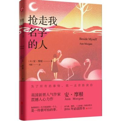 正版新书]抢走我名字的人(英)安·摩根(Ann Morgan) 著;刘媛 译9