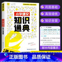 [单本]语文 小学通用 [正版]2023新版 通城学典小学语文数学英语知识通典通用版 古诗文词汇学典小学生一二三四五六年