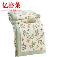 亿洛莱 家用夏被 200*230cm 条