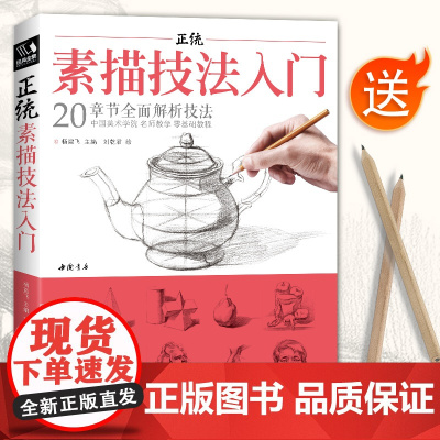 正统素描技法入门 零基础自学教程书籍铅笔绘画画册临摹范本单体sh