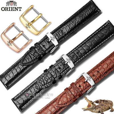 适用于东方双狮手表带男真皮老双狮表带蝴蝶扣手表链20MM鳄鱼皮表带