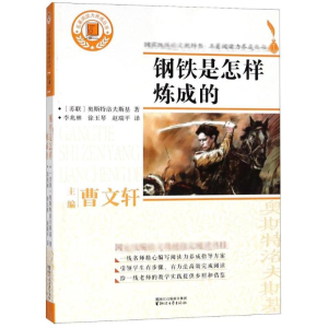 醉染图书钢铁是怎样炼成的9787533953409