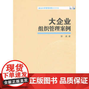 大企业组织管理案例