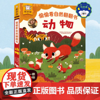 [正版童书]傲游猫偷偷看自然翻翻书 动物0-3岁婴幼儿宝宝早教启蒙认知故事书揭秘恐龙动物图画书锻炼观察力科普百科书