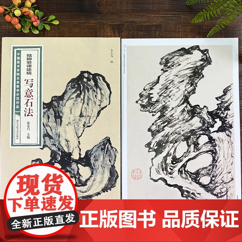 陆抑非课徒稿写意石法 中国美术学院名家教学示范作品大8开高清写生创作 中国画初学入门临摹教程画册页绘画技法赏析教材作品画