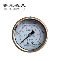 嘉禾长久 耐震压力表轴向 YTN60Z 0-0.25Mpa 块