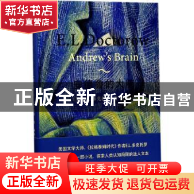 正版 安德鲁的大脑 [美]E.L.多克托罗 著 汤伟 译 上海文艺出版社