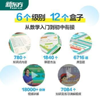 正版新书]新东方中小学全科教育:思维训练 B 三年级(暑)(全2