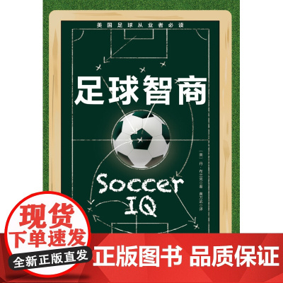 足球智商 丹•布兰克 著 体育运动