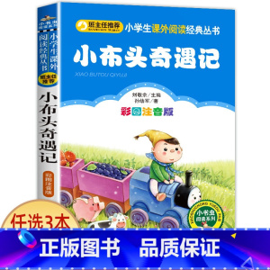 小布头奇遇记 [正版]宝葫芦的秘密二三年级必读 注音版带拼音 小学一年级阅读课外书上册下册下学期 张天翼原著完整版宝芦葫