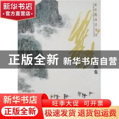 正版 叶维作品集 叶维 江苏美术出版社 9787102040974 书籍