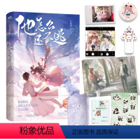 [正版]他怎么还不逃 小说 车厘酒 原名大佬怎么还不逃 新增番外折页 言情小说文学实体书 图书 书籍