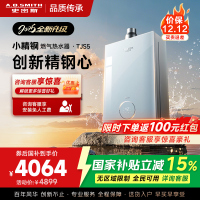 史密斯佳尼特[小精钢TJS5]16升增压零冷水燃气热水器 国家补贴 JSQ31-TJS5 安全守护 持久恒温 新品