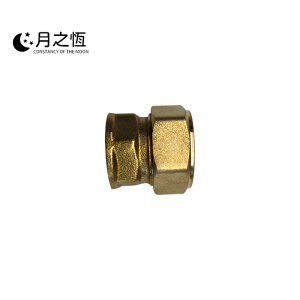 月之恒铝塑内丝直接25*20mm个