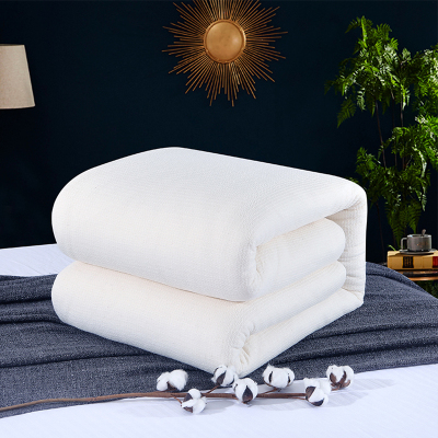 单人床被子芯宿舍家用棉花被芯 TP2873